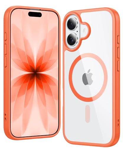 https://m.media-amazon.com/images/I/413jOtiOMTL.jpg