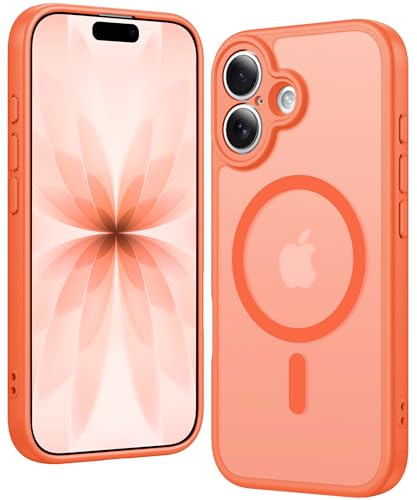 https://m.media-amazon.com/images/I/41ZsgUKTBPL.jpg